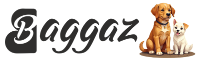 Baggaz UK