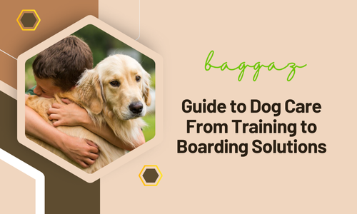 Dog Care Boarding Solutions