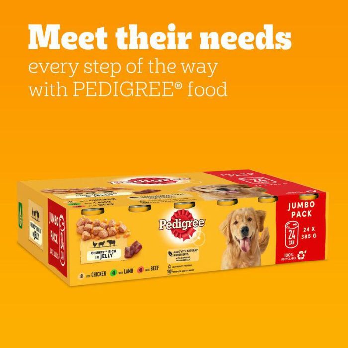 pedigree jumbo pack dog food online