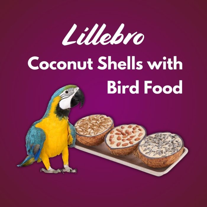 Lillebro Coconut Shells with Bird Food