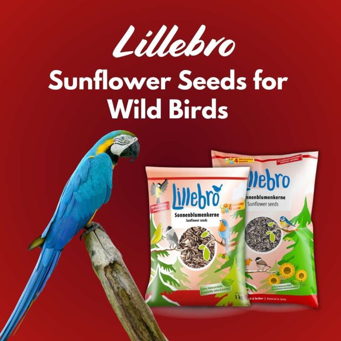 Lillebro Sunflower Seeds for Wild Birds