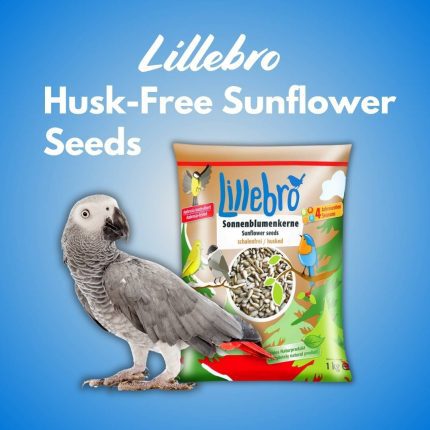 Lillebro Husk-Free Sunflower Seeds