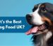 wet dog food uk