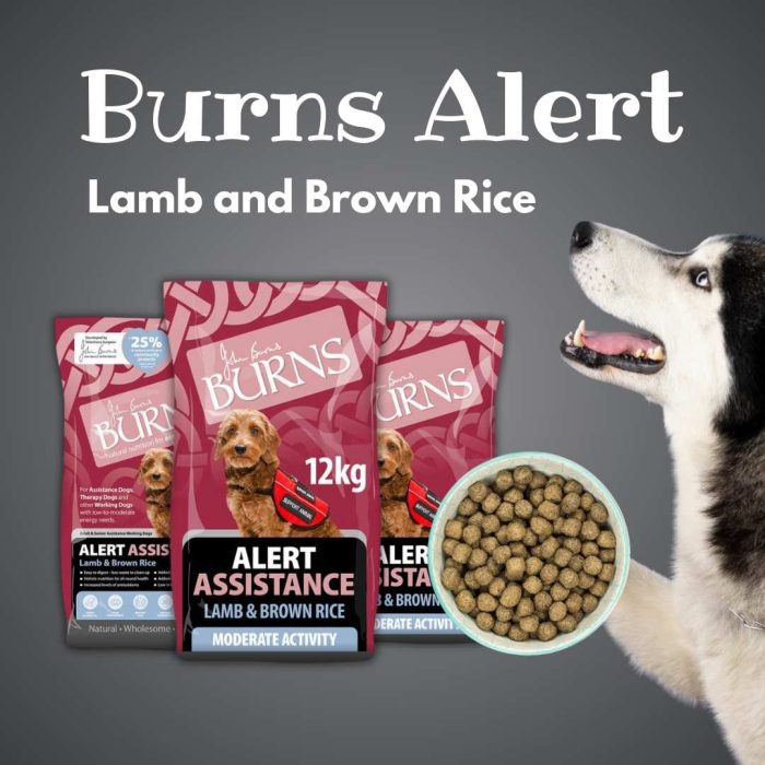 Burns Alert Lamb and Brown Rice