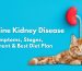 Cat Feline Kidney Disease: Symptoms, Stages, Treatment & Best Diet Plan