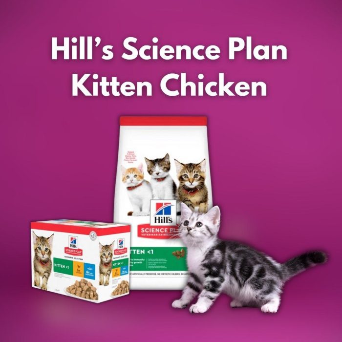 Hill’s Science Plan Kitten Chicken