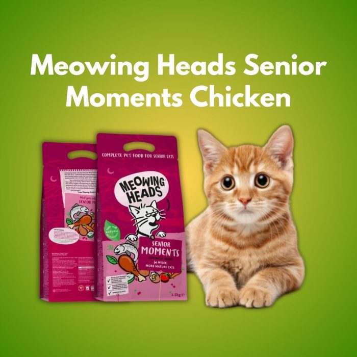 Meowing Heads Senior Moments – Salmon and Chicken