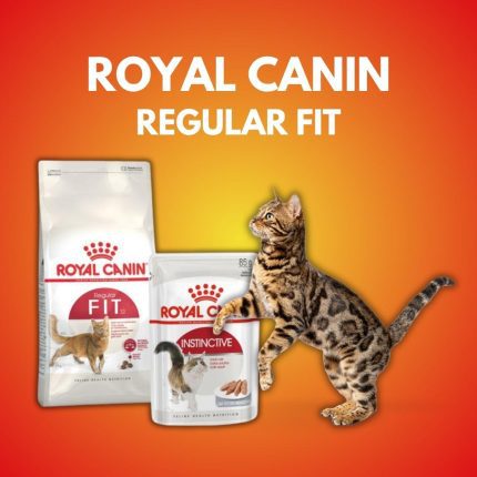 Royal Canin Regular Fit