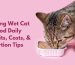 wet cat food