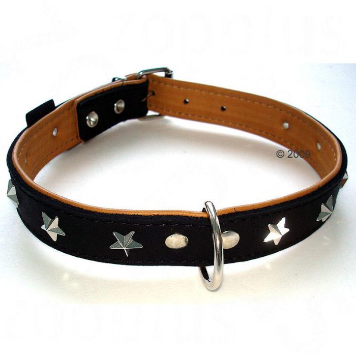 Heim Leather Dog Collar Stars