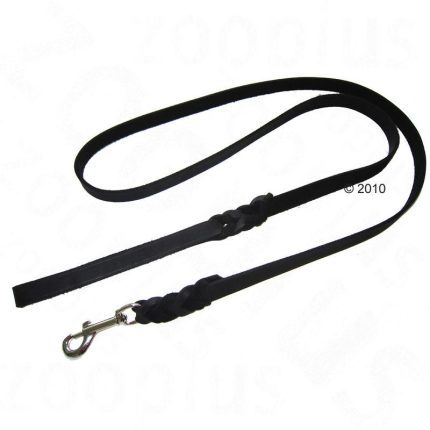 plaited leather dog lead