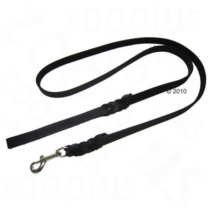 plaited leather dog lead