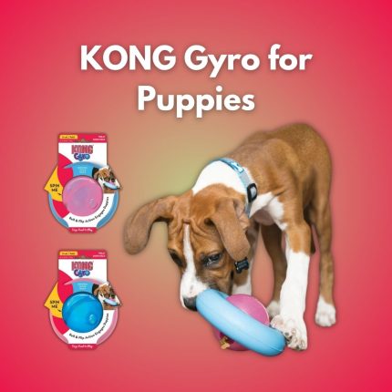 KONG Gyro for Puppies