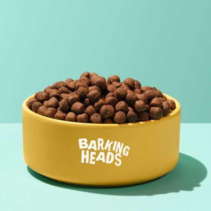 Barking Heads Hair Necessities