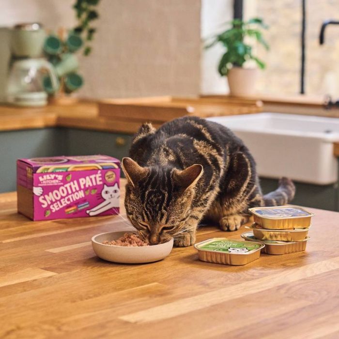 Wholesome Cat Treat