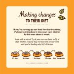 Grain-Free Paté for Cats