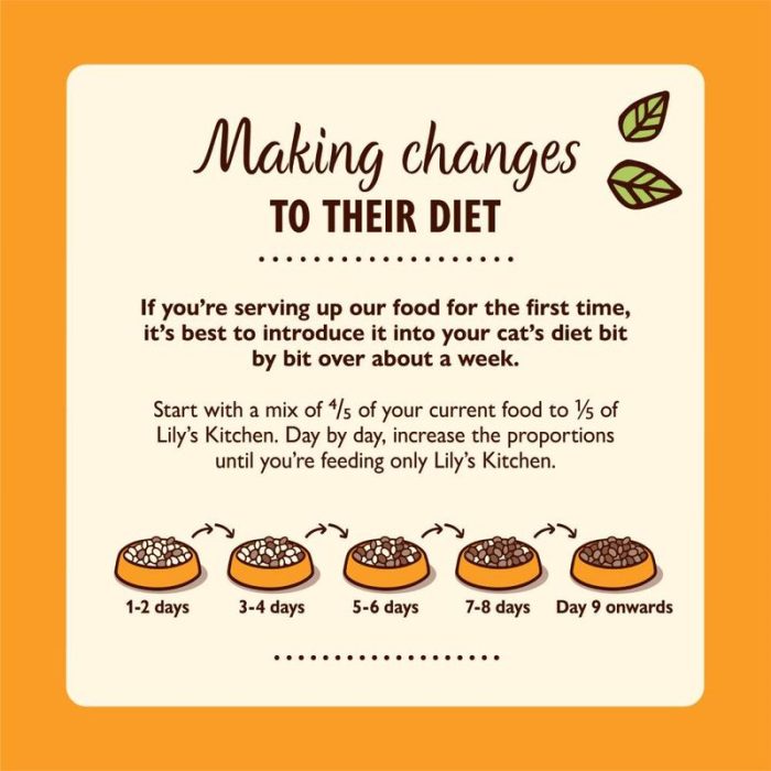 Grain-Free Paté for Cats