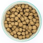 Burns adult wet dog food