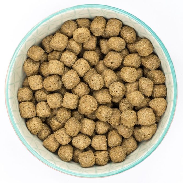Burns adult wet dog food