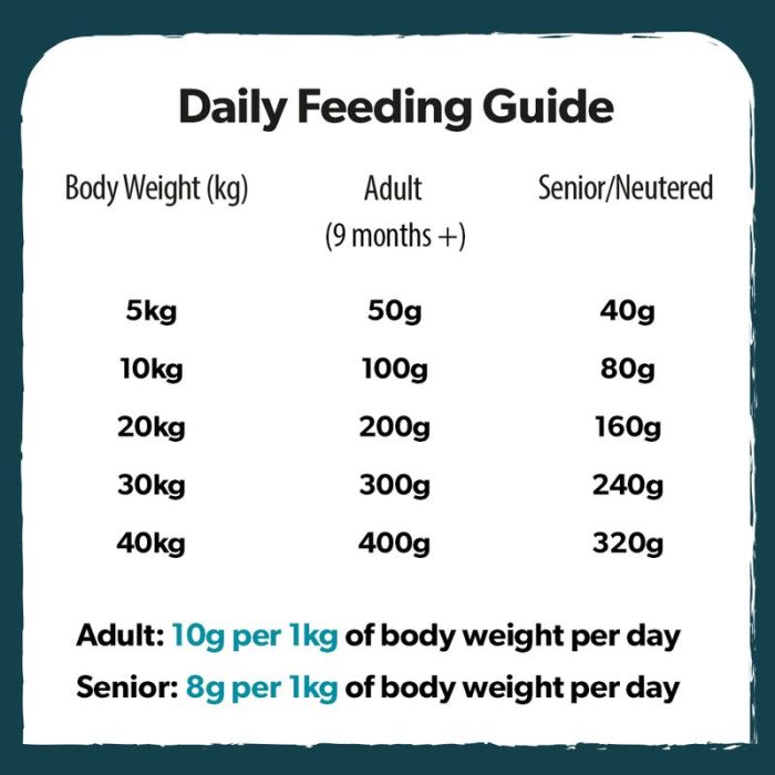 Healthy diet food for dogs