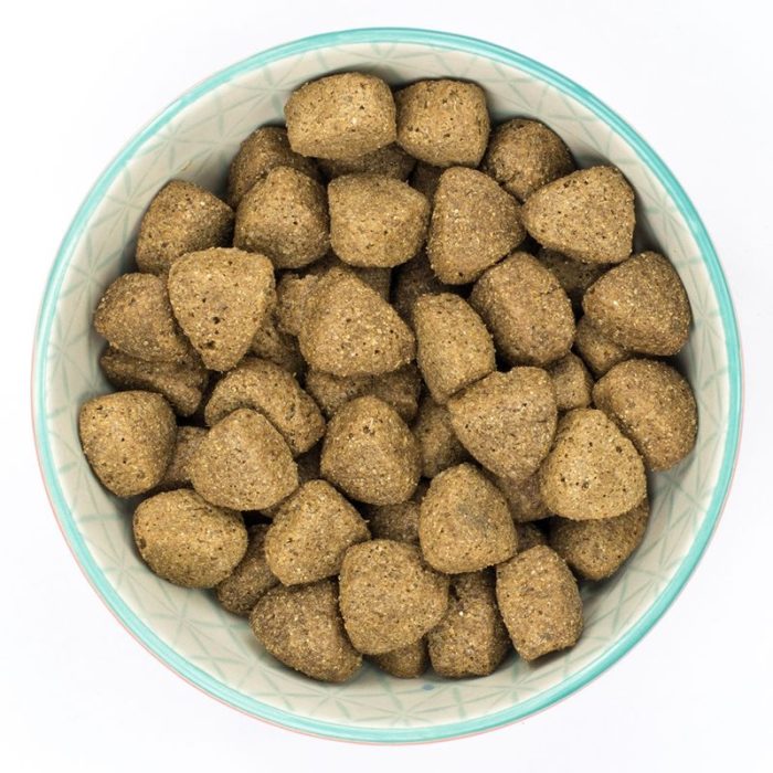 Chicken and rice dog food