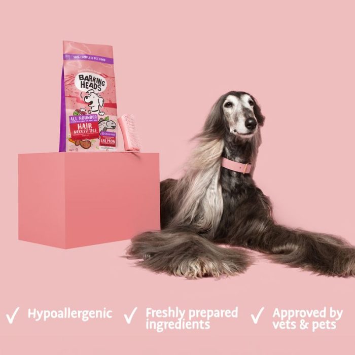 Shiny coat salmon dog food
