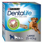 Dog chewing dental treat