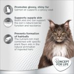 Nutrient-Rich Cat Supplement
