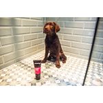 Gentle shampoo for puppies